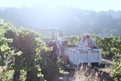 Supper Club with Chef Nico Pena and Kutch Wines