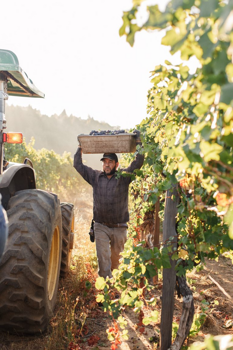 Supper Club with Chef Nico Pena and Kutch Wines